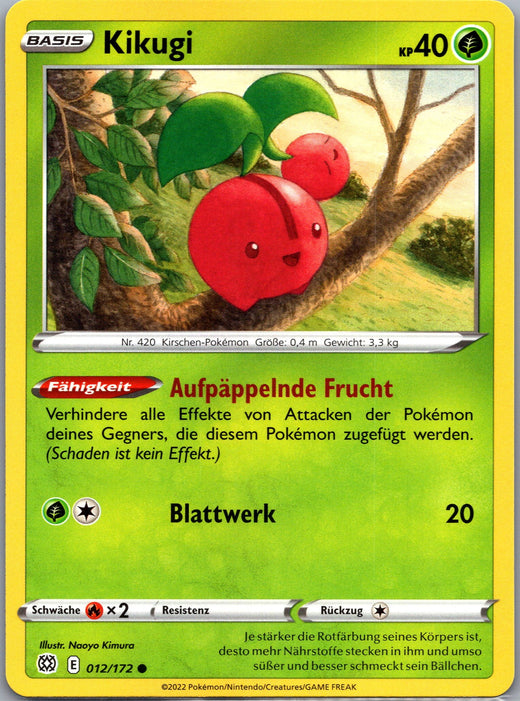 Kikugi | Strahlende Sterne · 012