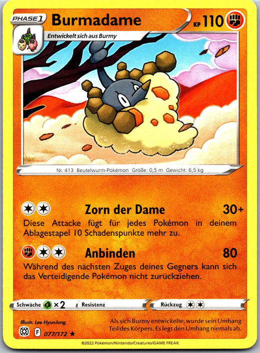 Burmadame | Strahlende Sterne · 077